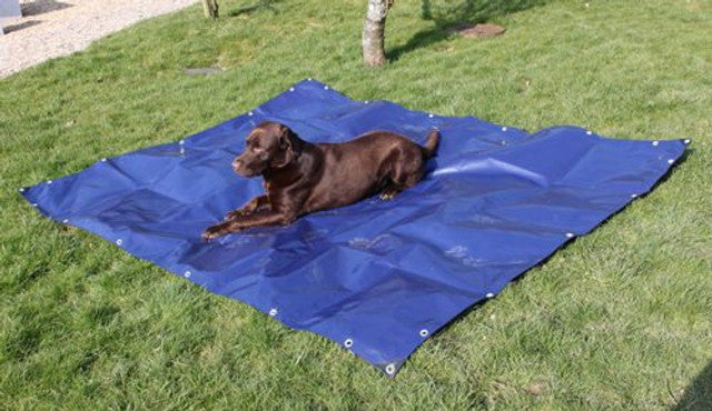 350gsm Extra Heavy Weight Blue/Beige Tarpaulins